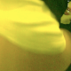 A somewhat low-quality video of hidden camera footage taken of a woman pissing and shitting in a bathroom. Audio is muffled, but some sounds can be heard. About 3 minutes.